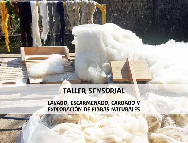 talleres sensoriales